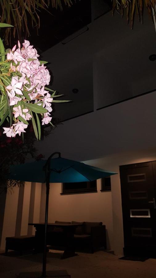 Apartments Star With Pool Biograd Na Moru Exterior photo