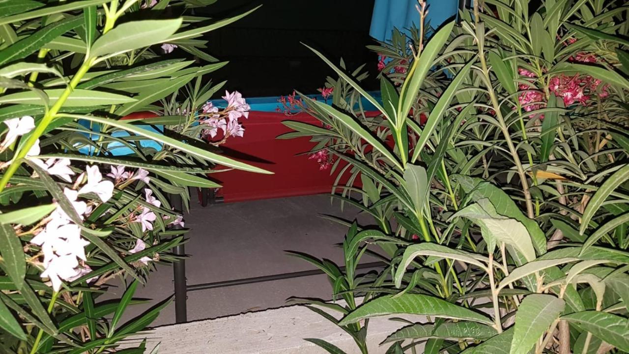 Apartments Star With Pool Biograd Na Moru Exterior photo