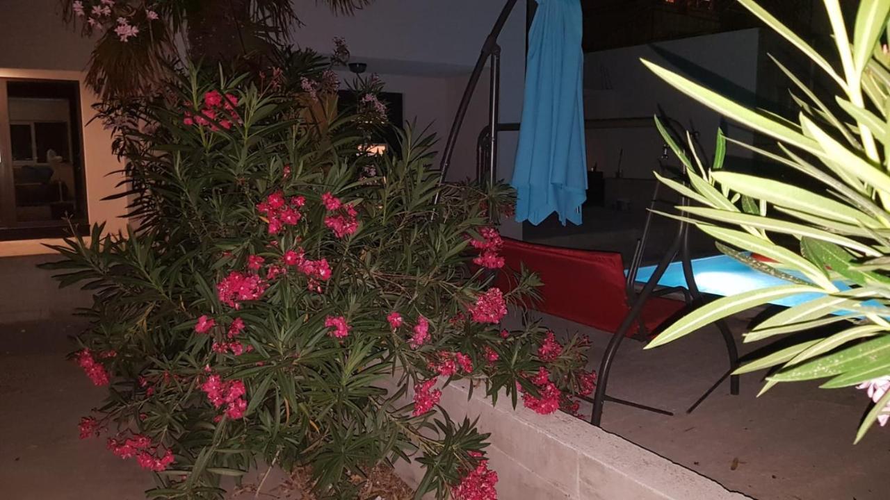 Apartments Star With Pool Biograd Na Moru Exterior photo